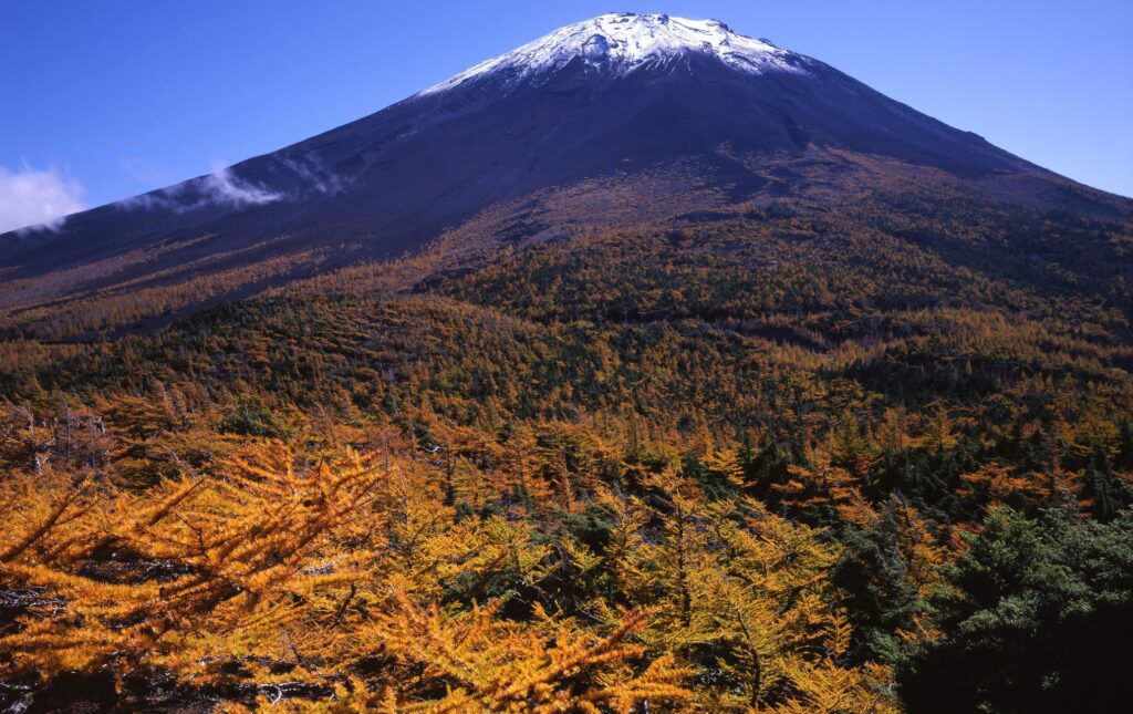 富士山五合目