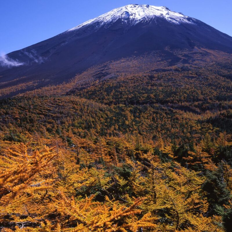 富士山五合目